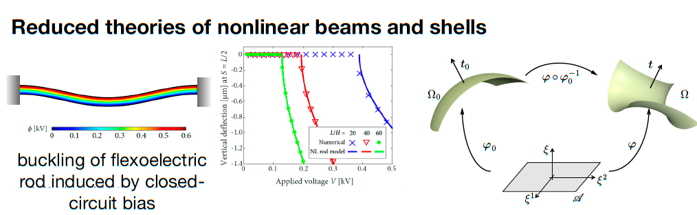 Reduced theories of flexoelectric beams and shells