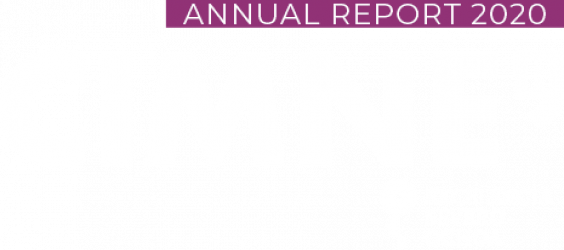 Annual Report 2020